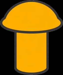 A Rivet